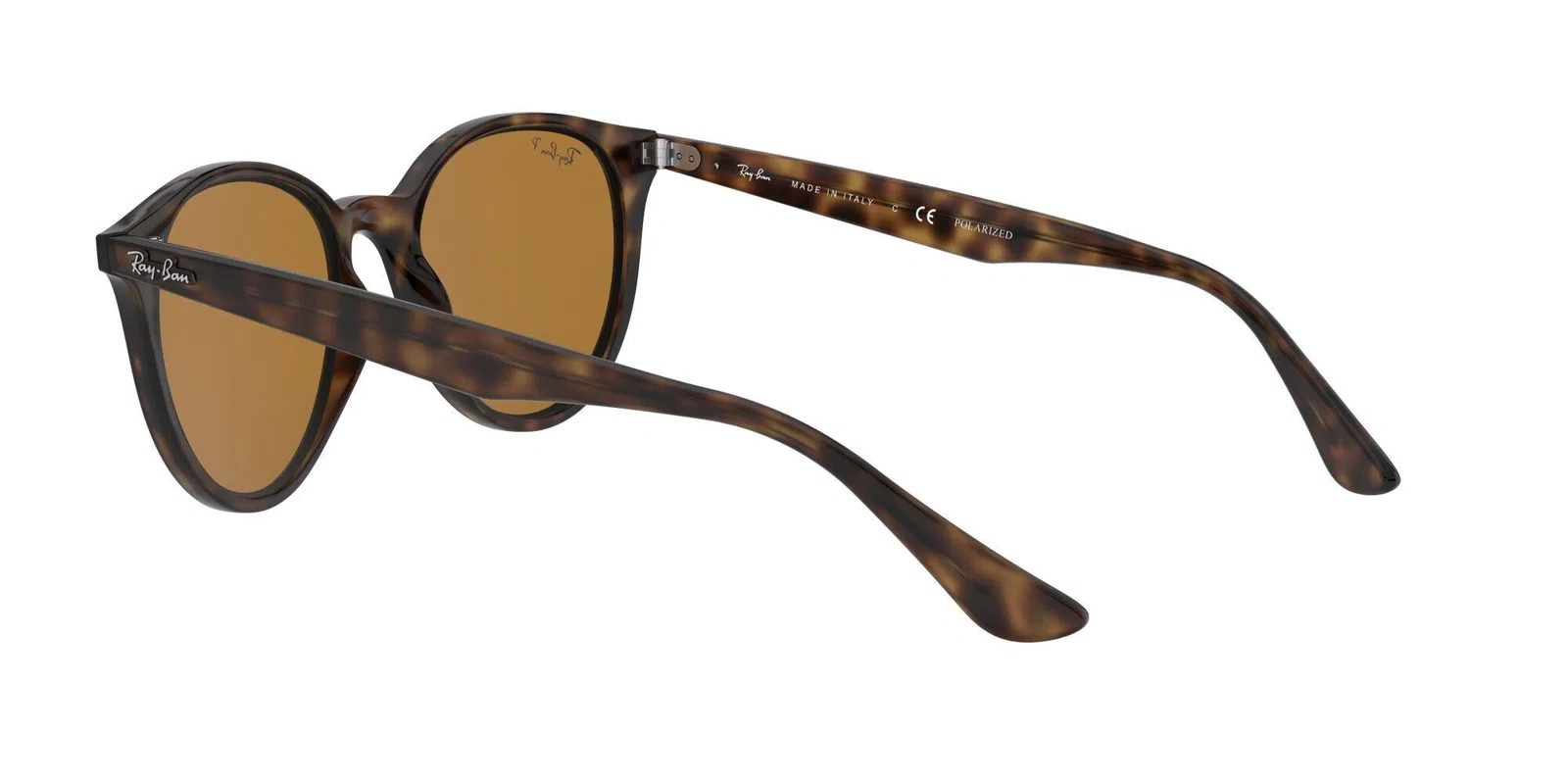 Ray-Ban 4305 Sunglasses - view 15